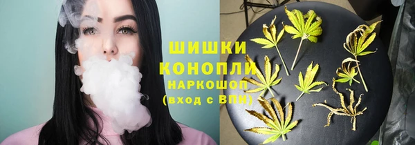 спиды Аркадак