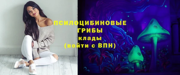 спиды Аркадак