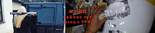 соль ск Арсеньев