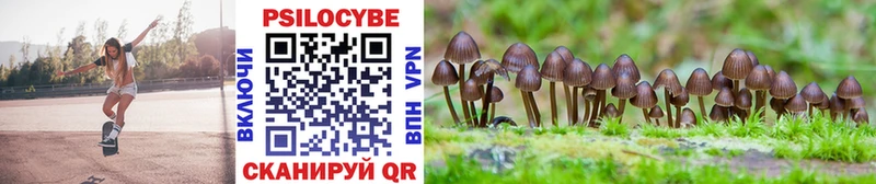 наркошоп  Пыталово  Галлюциногенные грибы Magic Shrooms 
